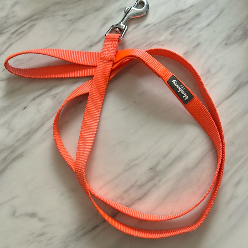 Neon Orange Dog Leash